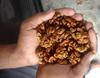 3p Kashmiri Organic Walnut Kernels Without Shell Natural Akhrot Giri Dry Fruit Brown Haif 400 gm (200 gm x pack of 2) view 3