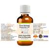 Greenwood Essential Nutmeg Essential Oil (Myristica fragrans) Pure | Non-Sticky | Non-greasy | Lightweight | Men & Women | All Skin Types | Steam Distilled 30ml view 2