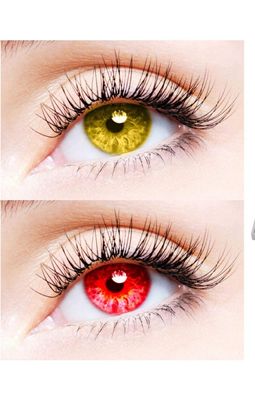 2 Pair Monthly Colored Contact Lenses Zero Power With 1 Lens Travel Kit (Hazel-Red)