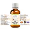 Greenwood Essential Pure Walnut Oil (Juglans regia) | Cold Pressed | Natural | Undiluted | For Diluting Essential Oils | For Skin & Massage | Men & Women | 15ml view 2