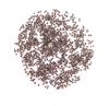 Chymey CTC Assam Tea (1000g) view 4