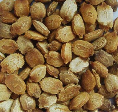 BSD Organics HerbY Karela Seeds/Momordica Charantia/Bitter Gourd/Pavakkai - 1000 Grams