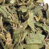 BSD Organics HerbY Sugar FreePowder of Gymnema/Gymnema Sylvestre/Sirukurinji/Gurmar Booti/Meshashringi - 500 Grams view 2