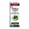 Baidyanath Asli Ayurved Karela Jamun Juice Paraben Free With No Added Sugar, 1 Liter view 1