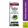 Baidyanath Asli Ayurved Karela Jamun Juice Paraben Free With No Added Sugar, 1 Liter view 2