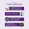 Baidyanath Asli Ayurved Karela Jamun Juice Paraben Free With No Added Sugar, 1 Liter view 4