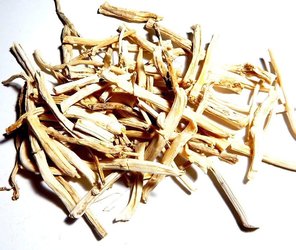 KAROLANE Shatavari Dried Root Asparagus racemosus 150g for Pooja