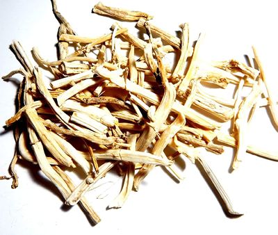 KAROLANE Shatavari Dried Root Asparagus racemosus 100g for Pooja