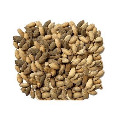 Neem Seed/Neem Ke Beej/Azadirachta (1 Kg)