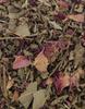 YAZA LIFESTYLE Herbal Tulsi Green Tea Organic Immunity Booster Green Tea (50 Gms) view 4