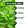 Sugar Fighter Stevia Powder & Free Tablets Combo  Zero Calories & Fat-Free Sweetener | Natural Stevia | Sugar-Free, Plant-Based Sugar Alternative | 1 Kg Powder + Free Tablets | HACCP & GMP Certified view 3