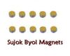 EKIN ACUPRESSURE New Sujok Therapy Kit (byol magnet 40pc + star magnet 40pc + paper tape 2pc) view 2