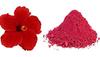 Aapkidukan Gudhal Phool Powder 100gms Hibiscus Flower view 1