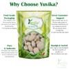 YUVIKA Kaunch Safed - Mucuna Pruriens - White Kaunch Seeds 800 Grams view 3