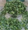 HEERA Kasuri Methi , Fenugreek Leaves, Dried Methi Leaves, Pan Methi , Marwadi Methi , Sukha Methi (100gms) view 4
