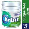 Orbit Spearmint Sugar-Free Chewing Gum | Chewing Gums for Clean and Healthy Teeth | Pocket-Friendly & Easy to Carry Pot Pack |59.4g | Pack of 2 view 4