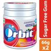 Orbit Mixed Fruit Sugarfree Chewing Gum | Chewing Gums for Clean and Healthy Teeth | Pocket-Friendly & Easy to Carry Pot Pack |59.4g | Pack of 2 view 4
