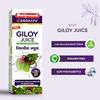 Baidyanath Asli Ayurved Giloy Juice - 1 L | Ayurvedic Herbal Juice with Giloy (Guduchi) | Helps Boost Immunity| Wellness Drink view 2