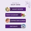 Baidyanath Asli Ayurved Giloy Juice - 1 L | Ayurvedic Herbal Juice with Giloy (Guduchi) | Helps Boost Immunity| Wellness Drink view 3