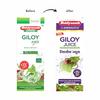Baidyanath Asli Ayurved Giloy Juice - 1 L | Ayurvedic Herbal Juice with Giloy (Guduchi) | Helps Boost Immunity| Wellness Drink view 4