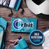 ORBIT Wintermint Gum 14 Pieces, 33 g view 4