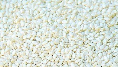 Stylo Premium Natural Raw Organic White Sesame (til) nuvvulu Seeds 500 Grams