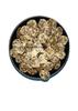 Jai Jinendra Mukhwas & Churan Kachi Kari Laddu 400 gm view 3