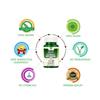 Heera Ayurvedic Research Foundation giloy ginger garlic 60 Veg Capsule pack of 2 view 3