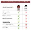 Herb Essential Kapikachu Tablets (Mucuna Pruriens) 500mg, 60 tablets | 100% Pure,Natural Herbs Extracts view 2