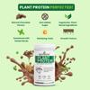 Nutrazee 100% Plant Protein Powder Vegan - For Men & Women, Natural Chocolate Flavour, Gluten & Lactose Free, Added Digestive Enzymes & Antioxidants (400 g, 11 Servings) view 4