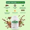 Nutrazee 100% Plant Protein Powder Vegan - For Men & Women, Natural Chocolate Flavour, Gluten & Lactose Free, Added Digestive Enzymes & Antioxidants (1kg, 28 Servings) view 4