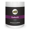 Herb Essential Pure Guduchi | Tinospora Cordifolia | Giloy Powder Organic - 400g view 1