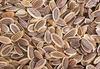 3V Products Sathakuppai Seeds | Dill Seeds | Suwa Seeds | Pencedanum Grande - 200 Gm view 3