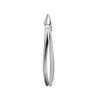 GPLUS Dental Extraction Anterior Forceps Straight view 1