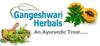 Gangeshwari Herbals Aarogya Pey 100+25gms. (Pack of 2) I Herbal Drink for All Seasons I Tulsi I Sonth I Kali Mirch I Dal Chini I Munka I Mulethi I Abhrak Bhasam (Shatputi) I Elachi view 4