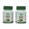 Meghdoot Samshamani Vati Giloy Ki Ghanvati | Natural Immunity Booster | Made with Pure Extract | Khadi Natural Giloy Tablets | Pack of 2 (140 Tablets) view 1