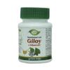 Meghdoot Samshamani Vati Giloy Ki Ghanvati | Natural Immunity Booster | Made with Pure Extract | Khadi Natural Giloy Tablets | Pack of 2 (140 Tablets) view 2
