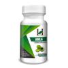 H&C Herbal Ingredients Expert Amla/Indian gooseberry Capsules - 450mg |120 Capsules | Dietary Supplements view 1