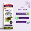 Baidyanath Giloy Juice - Natural Immunity Booster - 1 L (Pack of 2) view 4