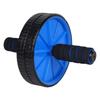 Ab Wheel Roller with Free Knee Mat and Anti-Slip Handles and Storage Box Perfect Abdominal Core Carver Fitness Workout for Abs Exercise and Strengthen Your Abs and Core view 1