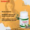 Lama Giloy Ghan Bati (60 Tablets) - Helps increase immunity view 4