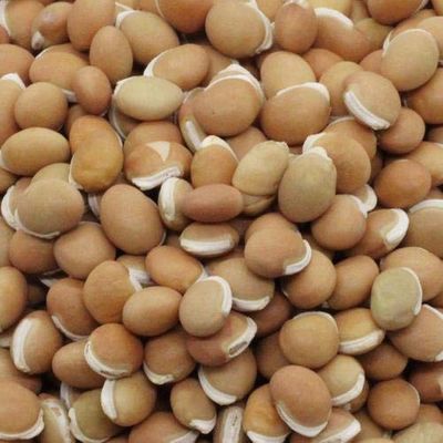 SPS MARKETING Field Beans Hyacinth (1kg)