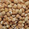 SPS MARKETING Field Beans Hyacinth (1kg) view 1