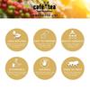 Caf N Tea Instant Cappuccino Coffee Premix Sachets | 16g Each | Pack of 10 | Creamy & Frothy Coffee Mix | Quick & Easy Brew | Rich Aroma view 4