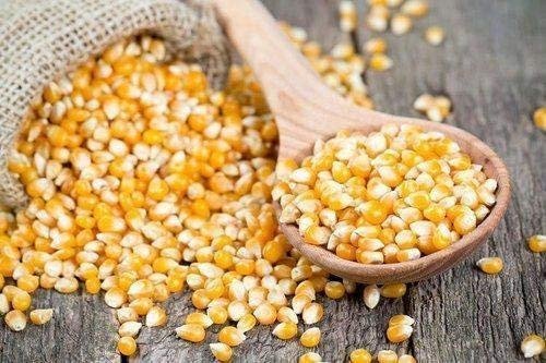 Tasty & Healthy Unpopped Popcorn Kernels Seeds | Makka -400gr