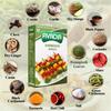 Avadia veg combo(Barbeque masala, Pizza pasta masala)-100gm view 4