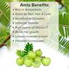 Natural Health Products Amla Indian Gooseberry (Emblica Officinallis) Powder For Hair Growth & Skin Care, 200 g view 3