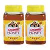 Baidyanath Asli Ayurved Honey I Natural Immunity Booster I Pure Honey I 500 Gms - Pack Of 2 view 1
