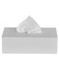 M&M Ultra Soft White 2 Ply Face Tissue (1 Box = 100 Pulls/ 200 Sheets) Pack of 2 Box view 1