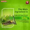 Baidyanath Giloy Ghan Bati 60 Tablets | Boosts Immunity & Digestion | Ayurvedic Guduchi Tablets for Fever, Detox, Acidity & Skin | Herbal Supplement for Health & Wellness | (Pack of 2) view 4